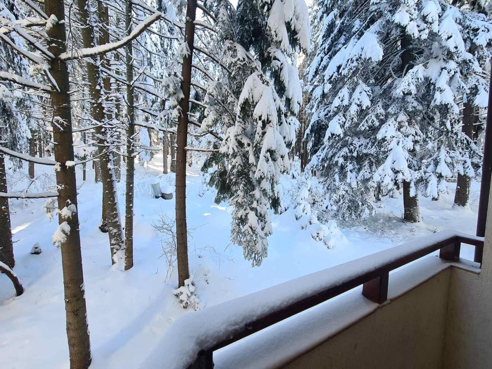 Forest Apartment/ Villa Park Borovets Luaran gambar